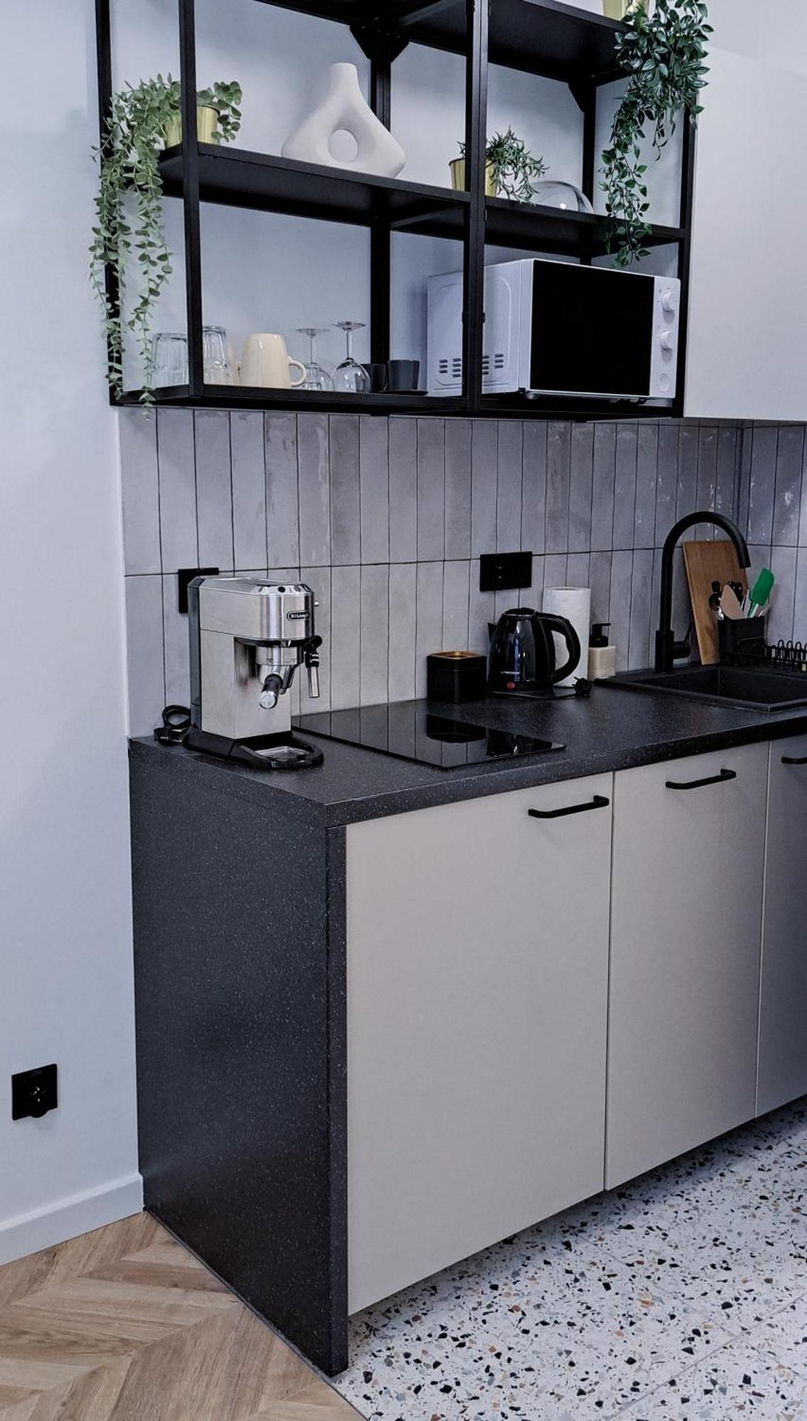 קרקוב Lion Apartments - Platinium מראה חיצוני תמונה