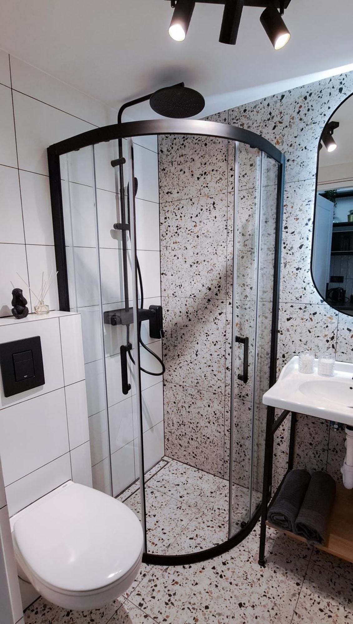 קרקוב Lion Apartments - Platinium מראה חיצוני תמונה